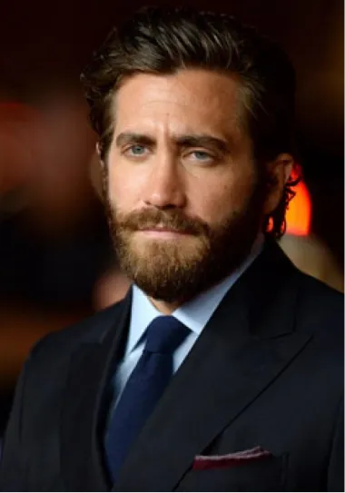 image Gyllenhaal